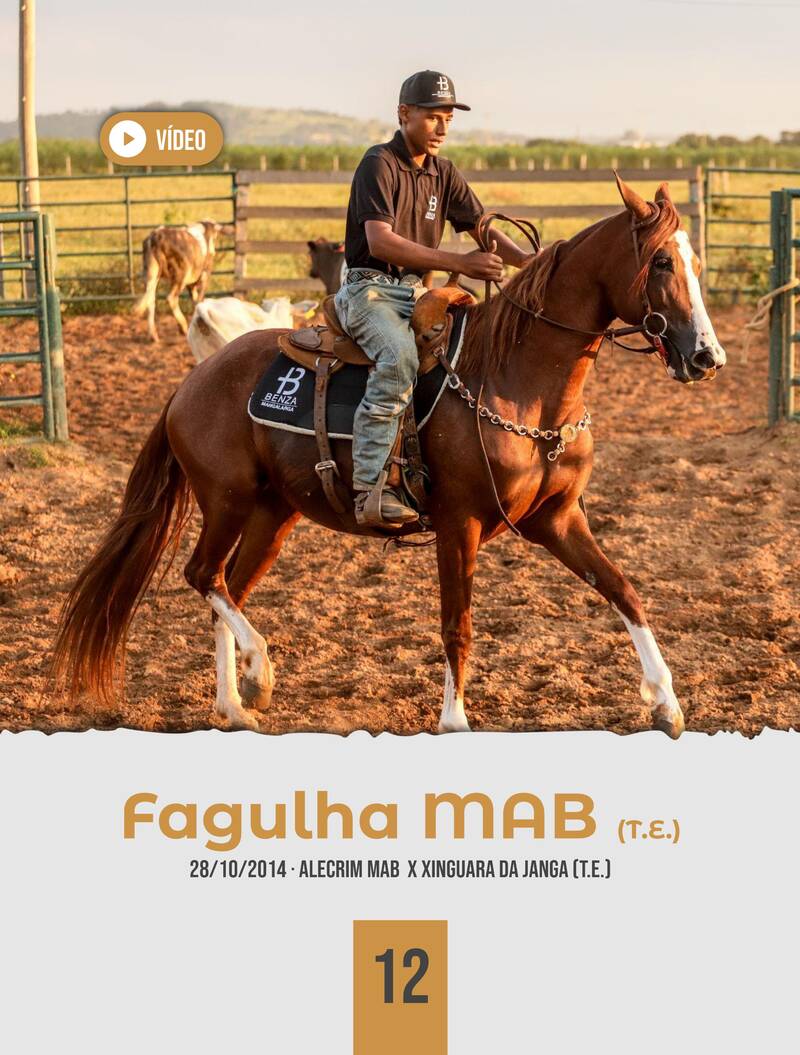 Foto FAGULHA MAB (T.E.)
