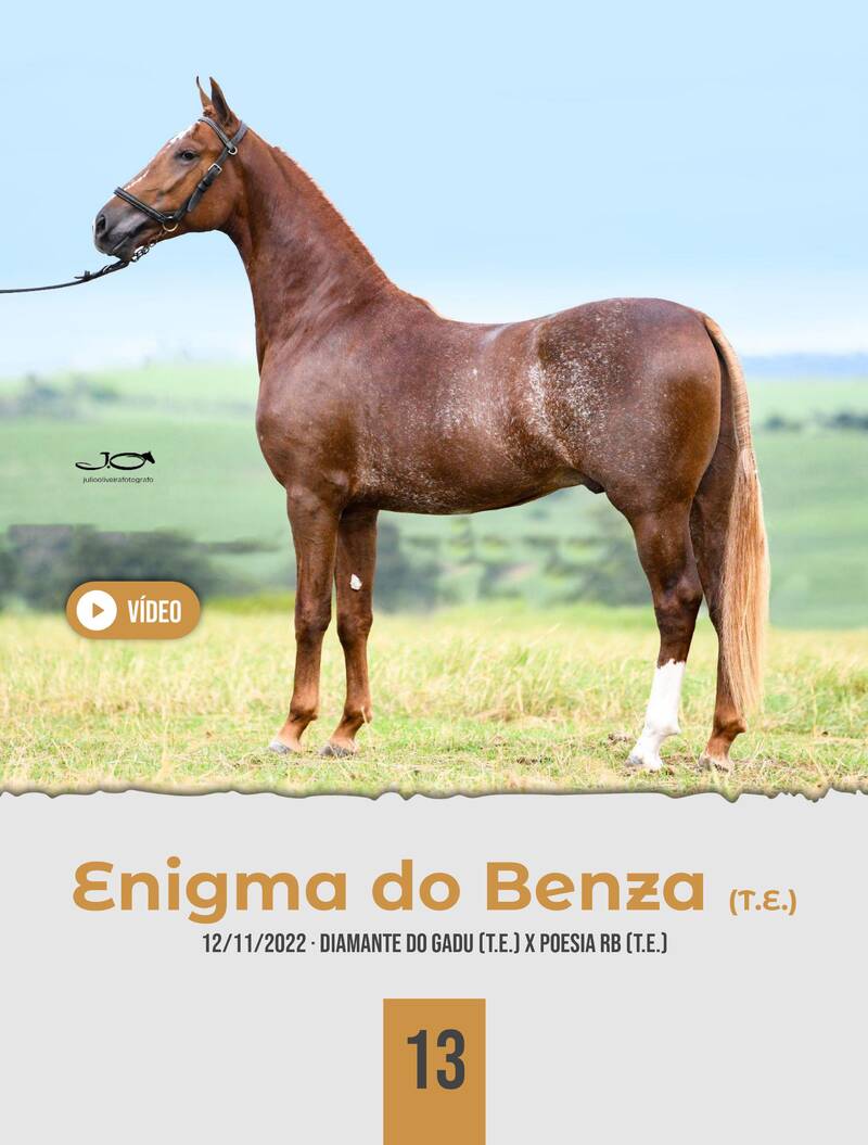 Foto ENIGMA DO BENZA (T.E.)