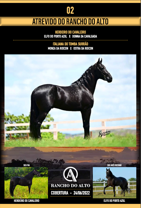 Foto ATREVIDO DO RANCHO DO ALTO
