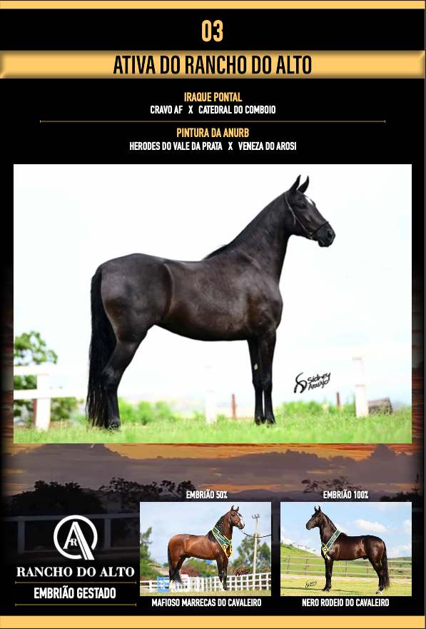 Foto ATIVA DO RANCHO DO ALTO