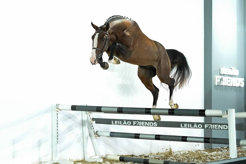 Foto HPH CHACCO OLYMPIC TRV