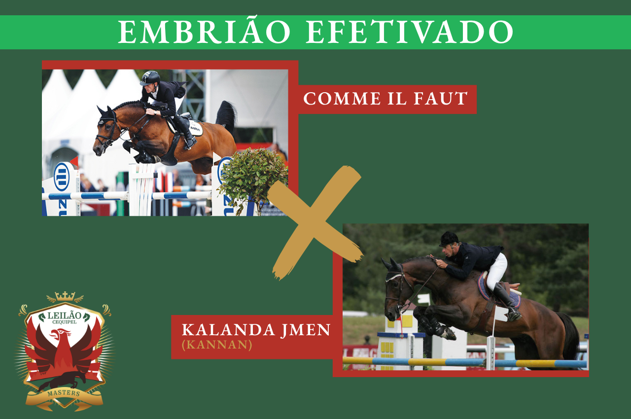 Foto COMME IL FAUT X KALANDA JMEN (KANNAN)