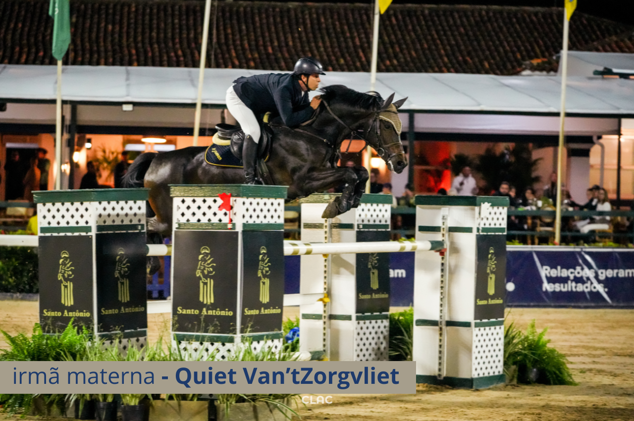 Foto ASTERIA VAN'T ZORGVLIET Z