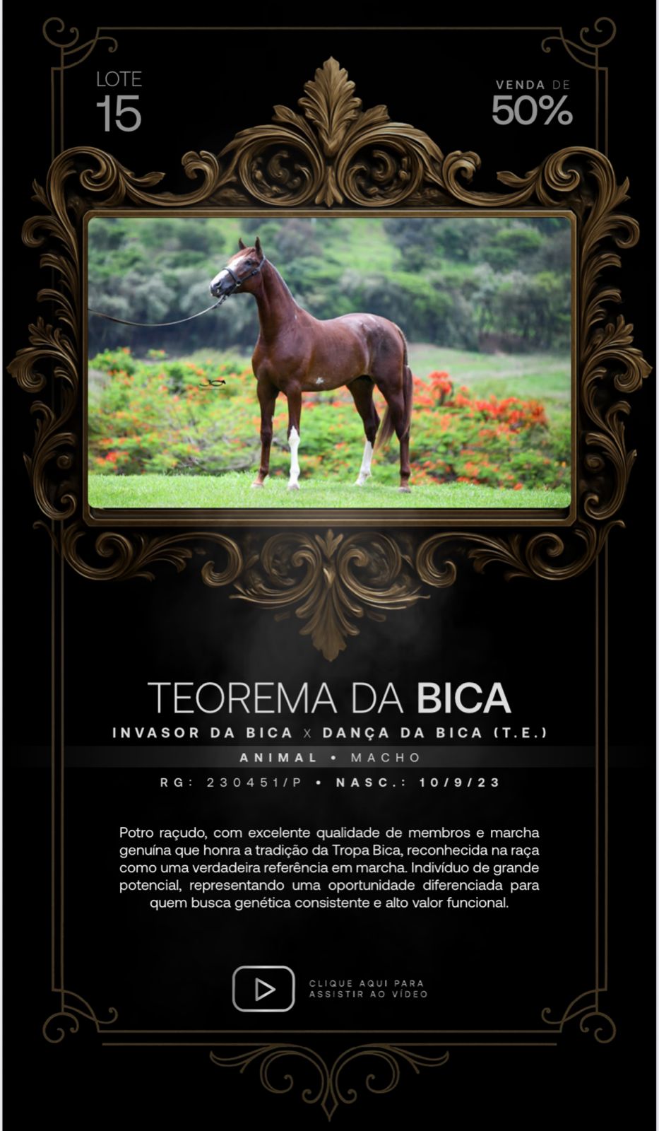 Foto (50.0%) TEOREMA DA BICA