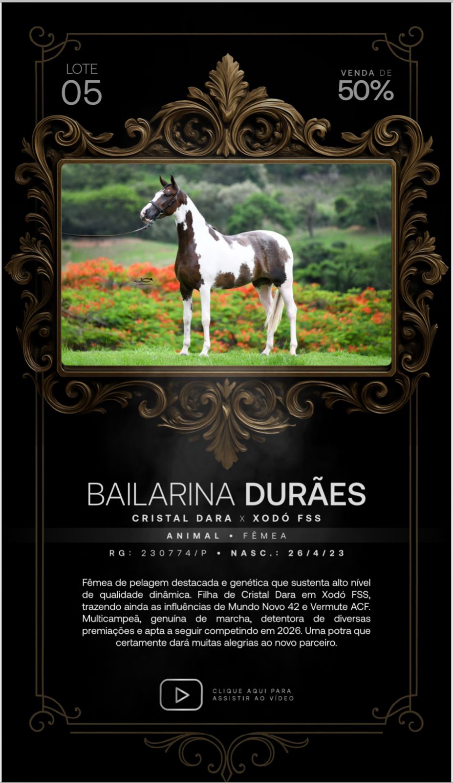 Foto (50.0%) BAILARINA DURÂES