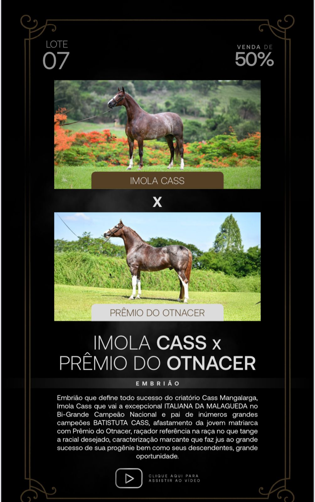 Foto (50.0%) EMBRIÃO IMOLA CASS X PRÊMIO DO OTINACER