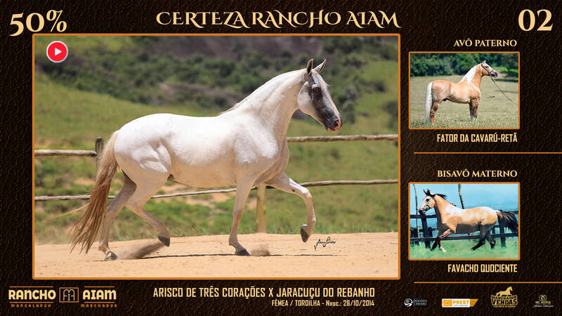 Foto CERTEZA RANCHO AIAM