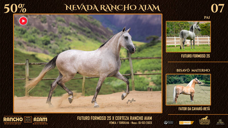 Foto NEVADA RANCHO AIAM