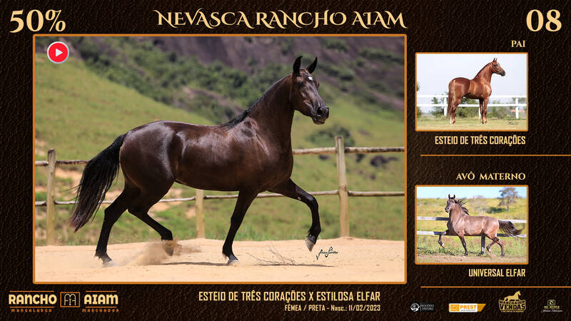 Foto NEVASCA RANCHO AIAM