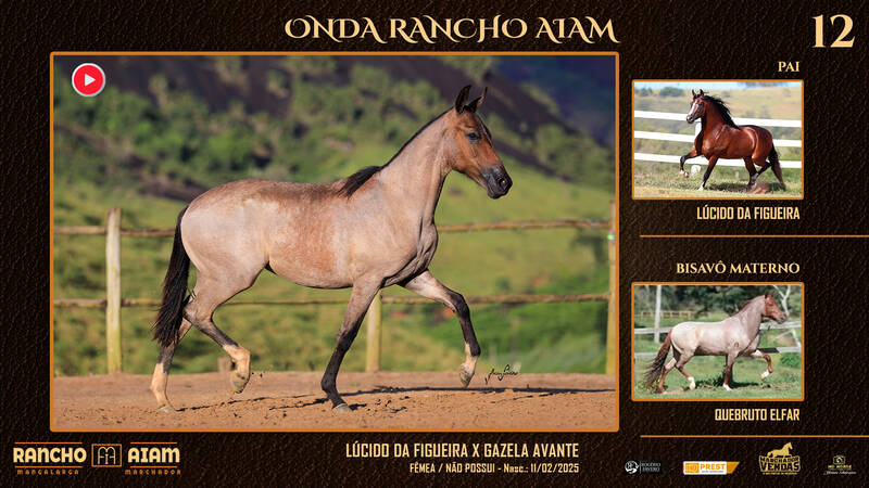 Foto ONDA RANCHO AIAM
