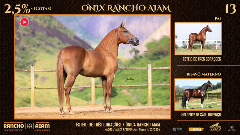 Foto ONIX RANCHO AIAM