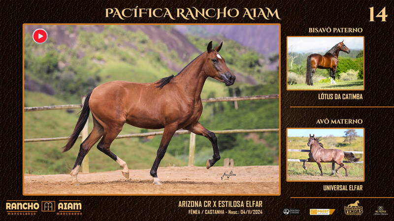 Foto PACÍFICA RANCHO AIAM