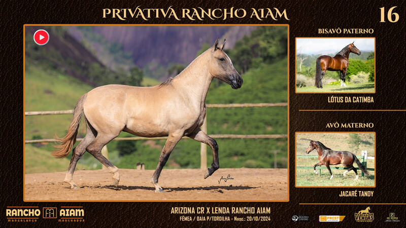 Foto PRIVATIVA RANCHO AIAM