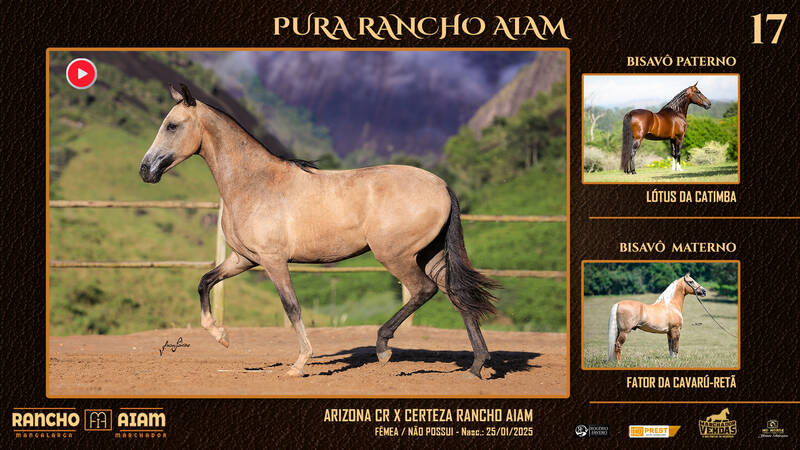 Foto PURA RANCHO AIAM