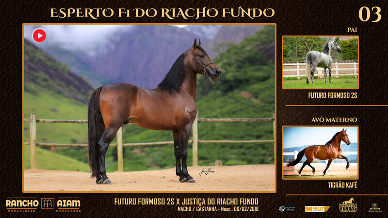 Foto ESPERTO F1 DO RIACHO FUNDO