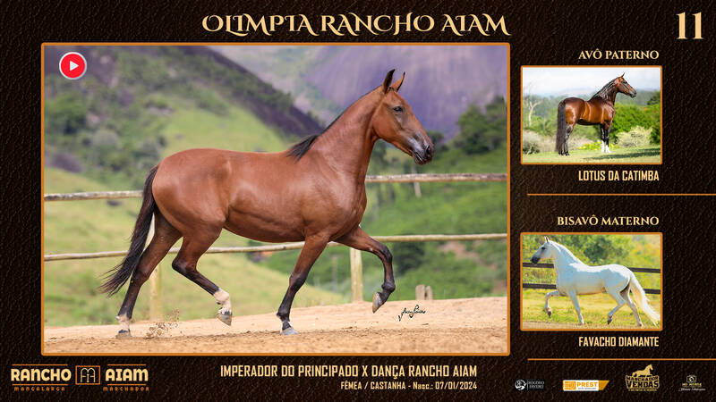 Foto OLIMPIA RANCHO AIAM