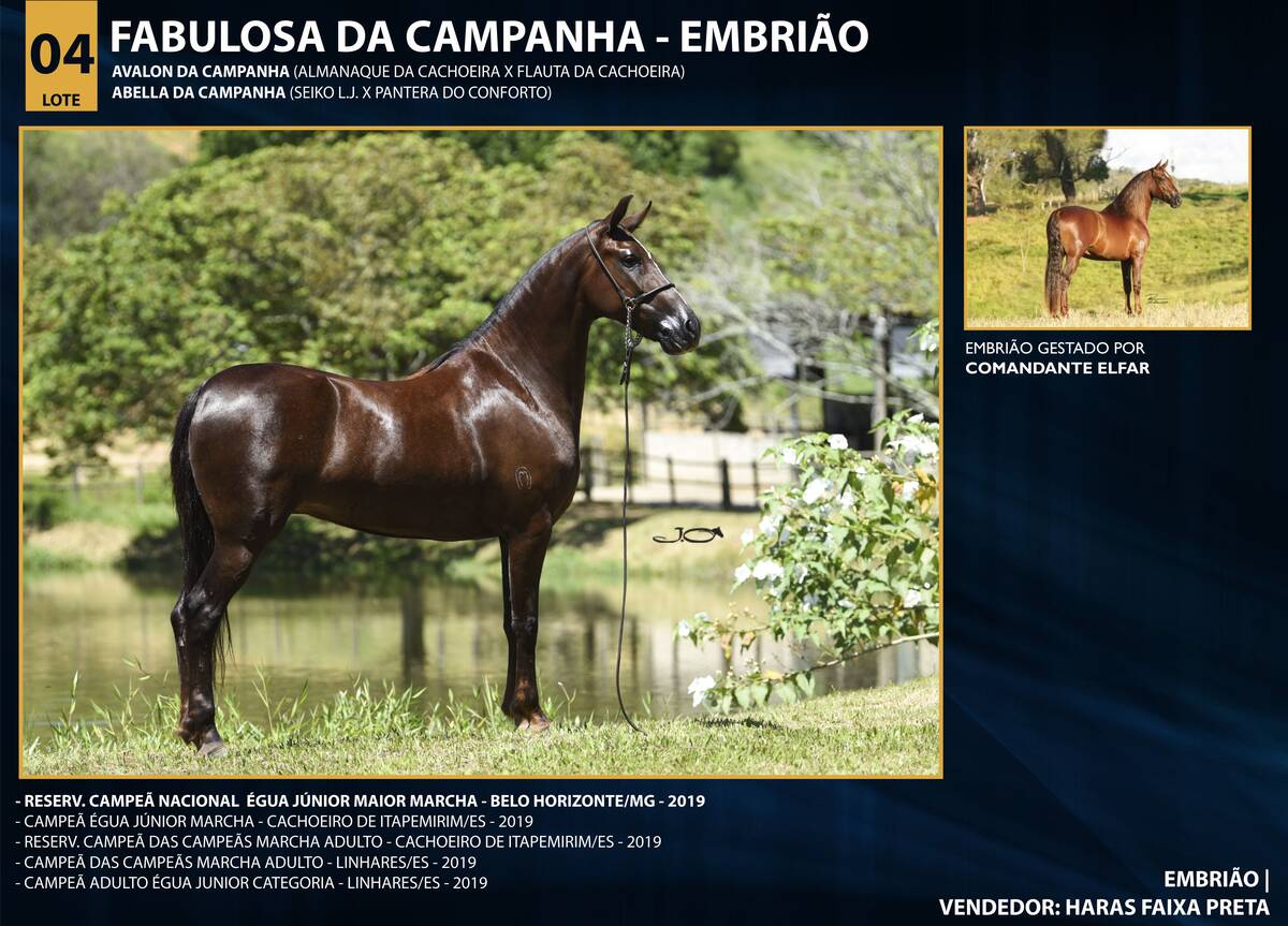 Foto FABULOSA DA CAMPANHA