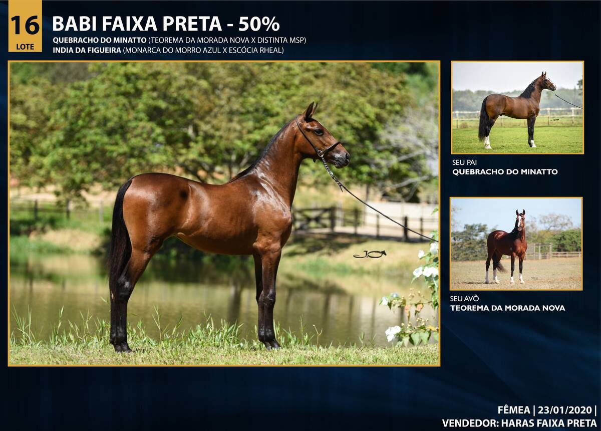 Foto BABI FAIXA PRETA