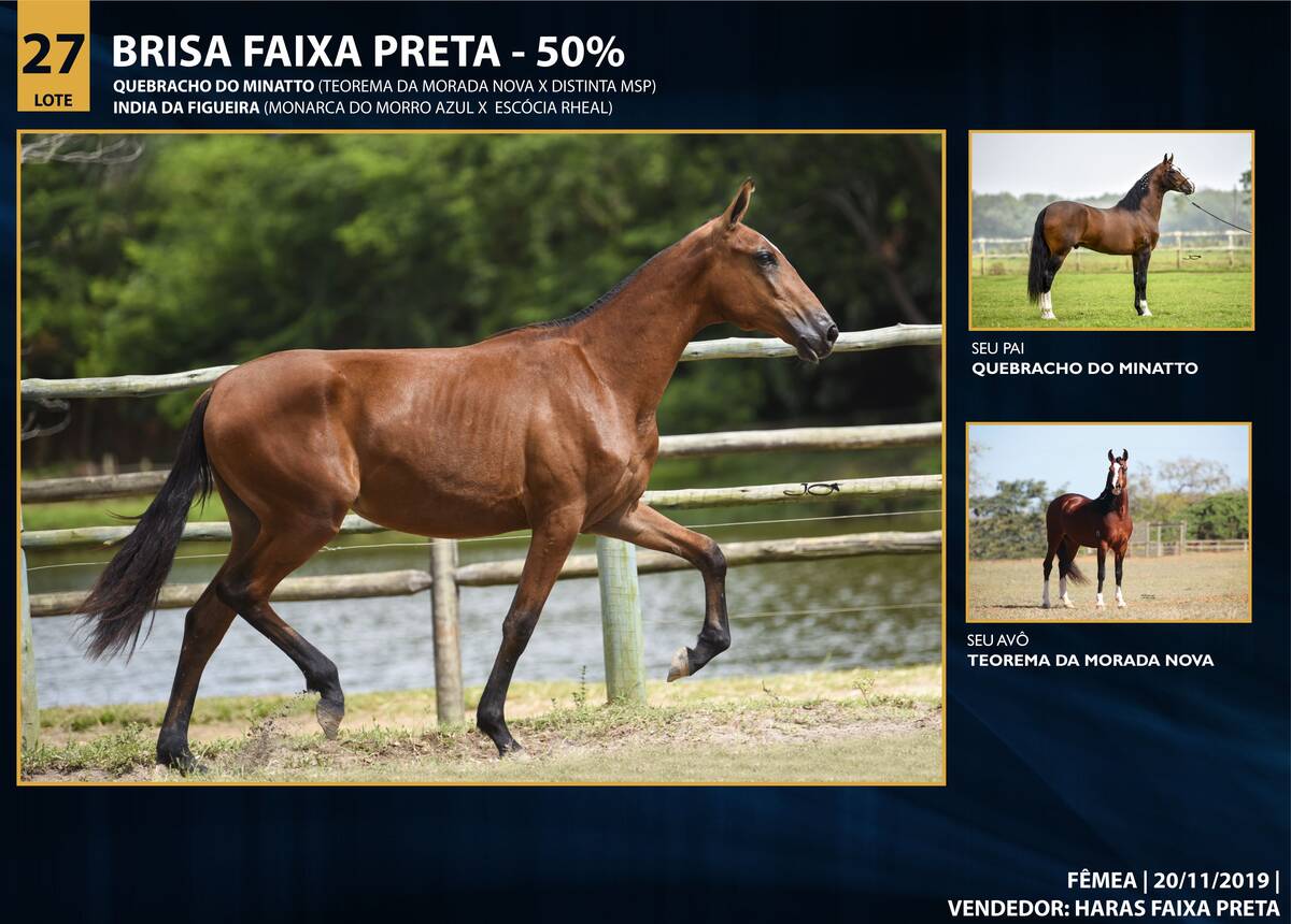 Foto BRISA FAIXA PRETA