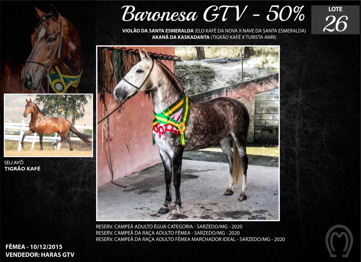 Foto BARONEZA GTV