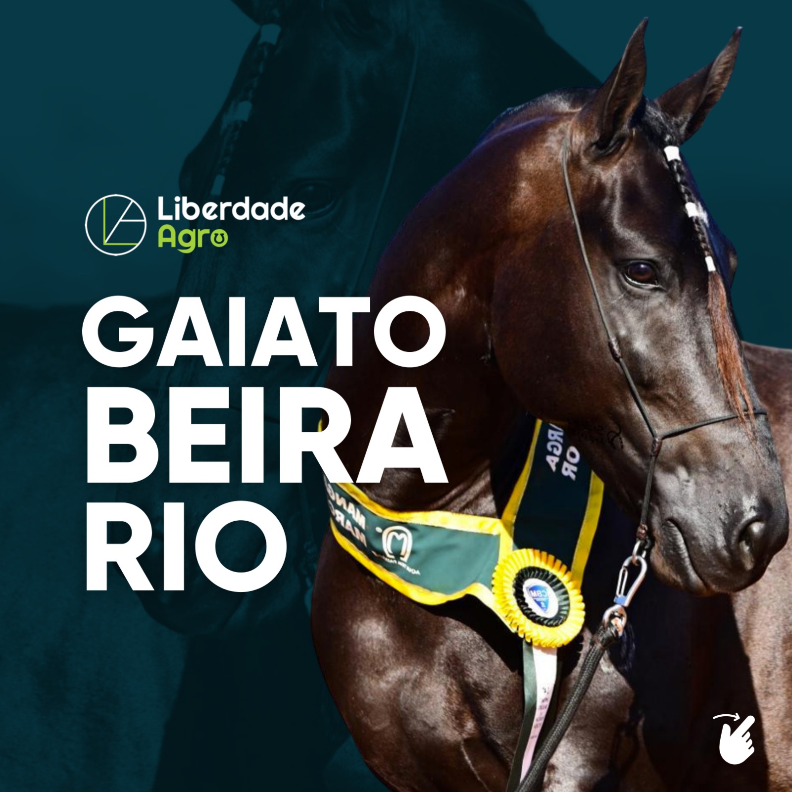 Gaiato Beira Rio