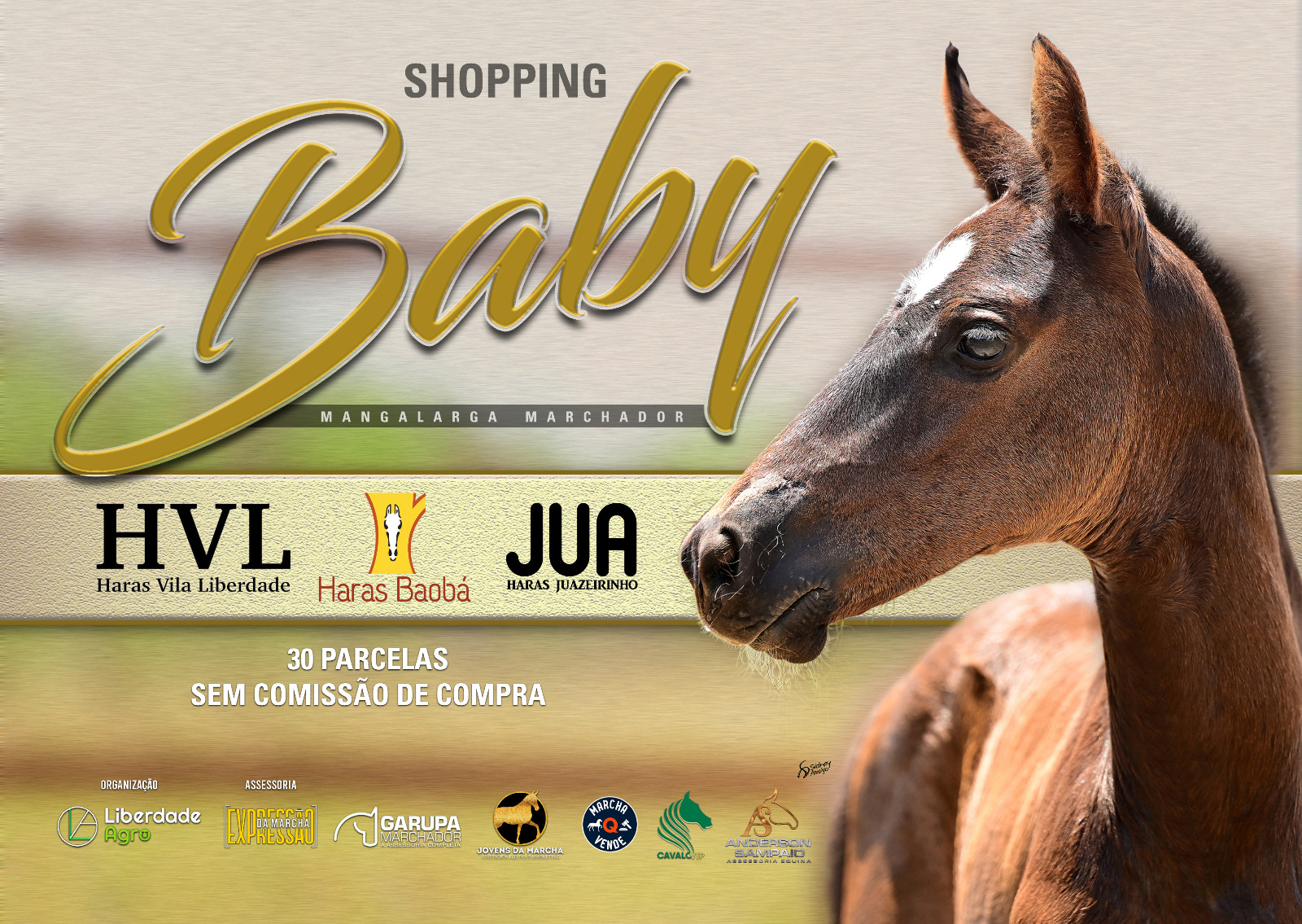 Shopping  Haras HVL, Haras Baobá e Haras Juazeirinho