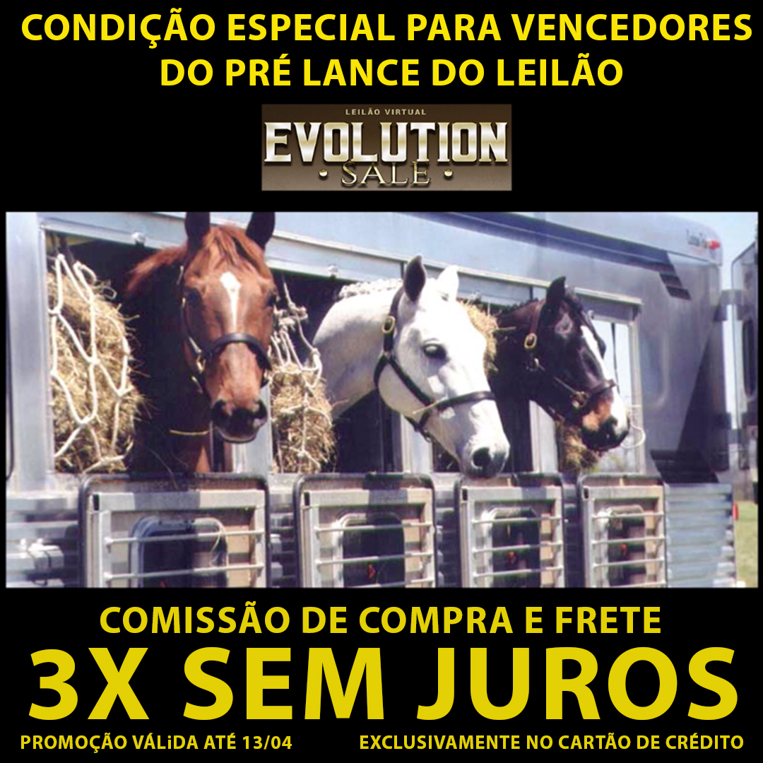 Imagem Notícia