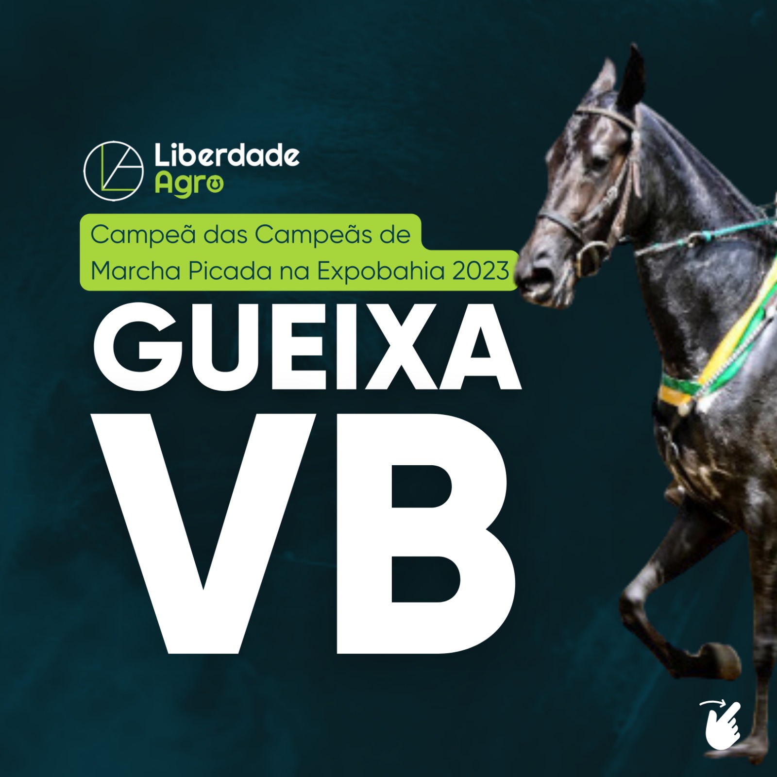 Gueixa