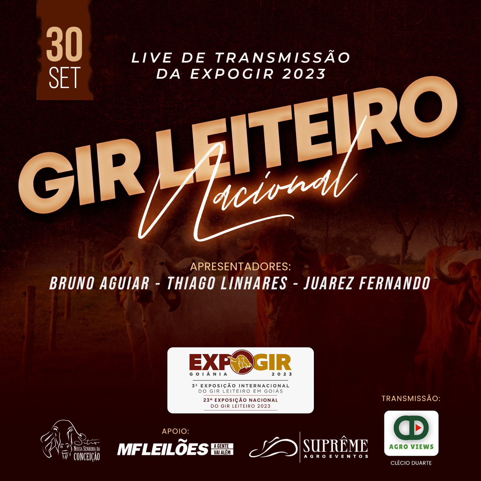 Foto Notícia